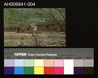 藏品(日治臺灣日月潭化蕃住家明信片)的圖片